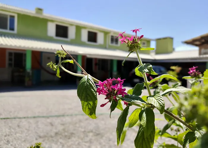 Flores De Bombinhas